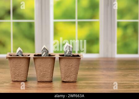 Bargeld wächst in Blumentöpfen. Altersvorsorgeplan, Investitions- und Sparkonto-Konzept. Stockfoto