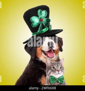 St. Patrick's Day fest. Niedlicher Hund in Kobold Hut und Katze mit grüner Fliege auf gelbem Hintergrund Stockfoto