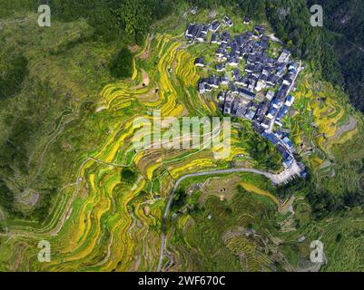 Herbst in Bailing Village, Pingnan Stockfoto