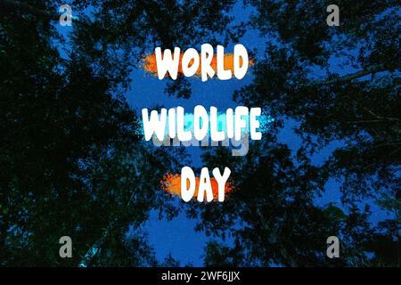 Der World Wildlife Day wird vor der Kulisse üppiger Baumkronen in einen ruhigen, azurblauen Himmel gezaubert. Stockfoto