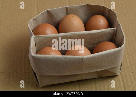 Bio-Eier in Papierkarton. Kein Kunststoff mehr Stockfoto