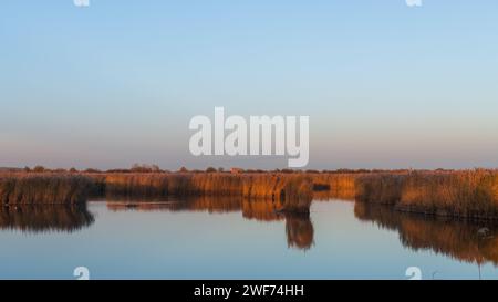 See im Abendlicht am RSPB Otmoor Oxfordshire Stockfoto