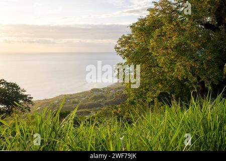 Dieses Bild zeigt einen ruhigen Blick auf den Sonnenuntergang von Saint Leu mit Blick auf den Indischen Ozean mit üppiger Vegetation im Vordergrund auf der Insel Reunion. Stockfoto