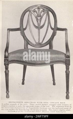 Der Möbelsammler : alte englische Möbel aus dem XVII & XVIII Jahrhunderte. Veröffentlicht im Herbert Jenkins Buch eine Einführung in die Studie der englischen Stile des 17. Und 18. Jahrhunderts von Edward W. Gregory mit 55 Illustrationen typischer Möbelstücke aus öffentlichen und privaten Sammlungen. Heppelweißer Sessel mit ovalem, konkaven Rücken.(...)drei Straußenfedern, die zwischen Vorhängen angeordnet sind, bilden das durchbrochene Design des Rückens. Die geschwungene Vorderseite des Sitzes ist sehr charakteristisch (...) Im Zimmer 57 des Victoria and Albert Museum South Kensington Stockfoto