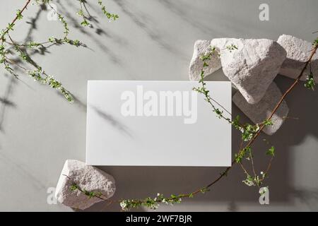 Draufsicht auf weißes Podium, weißen Stein und Ast als Highlight für kosmetische Produkte Stockfoto