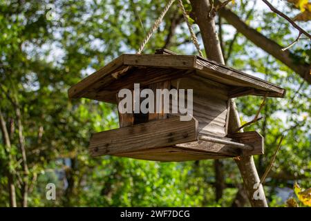 Vogelfutterhäuschen, das an einem Ast hängt Stockfoto