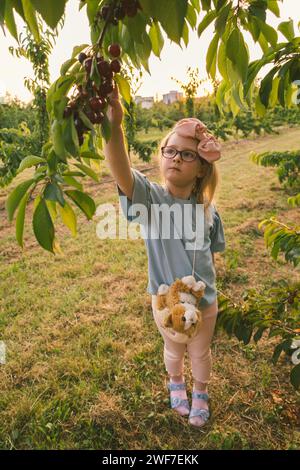 Kleines Mädchen spielt draußen in süßen Kirschplantagen, Sommer, Ernte Stockfoto