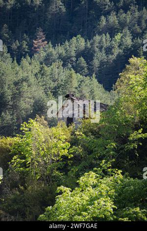 Nahaufnahme kleines Steinhaus, getarnt zwischen Bäumen in Añisclo C. Stockfoto