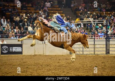 Cowboy, der während des Rodeos an einem Pferdebock hängt Stockfoto