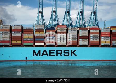 Versandcontainer werden von einem Schiff in Maersk entladen, Algeciras, Andalusien, Spanien Stockfoto