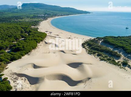 Blick von oben auf die Meereslandschaft mit Sanddünen und Kiefernwäldern. Playa Bolonia. Duna de Bolonia. Spanien, Europa Stockfoto