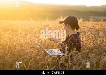 Eine Farmerin, die mit einem Laptop auf einem Weizenfeld arbeitet. Intelligente Landwirtschaft und digitale Landwirtschaft. Stockfoto