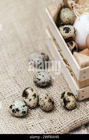Wachteleier verstreut und in eine kleine Holzkiste auf einer Oberfläche aus Sackleinen-Stoff gelegt, was eine rustikale und natürliche Atmosphäre erzeugt. Stockfoto