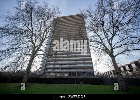 London, Großbritannien. Januar 2024. Das Maydew House von Bermondsey wurde nach jahrelangen Unterbrechungen für die ausgeworfenen Bewohner und Tausenden von Pfund für die Instandhaltung des leeren Blocks zerstört. 2015 wurden die Bewohner gezwungen, den 26-stöckigen Abbeyfield Estate Block zu verlassen, unter der Bedingung, dass Asbest entfernt, Wohnungen renoviert und Familien zurückgezogen werden. Aber bei einem Treffen am 9. November 2022 sagte ein Beamter des rates Berichten zufolge den Bewohnern von Abbeyfield, dass der Southwark Council eine Empfehlung erhalten werde, das 144-stöckige Bermondsey-Gebäude abzureißen. Guy Corbishley/Alamy Live News Stockfoto