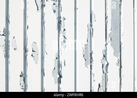 Abblätternde weiße Farbe auf der Metallzaunplatte Stockfoto