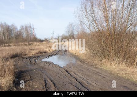 Frost, Eisplatten auf einer schlammigen Straße, frostbedeckte Gräser, Schlamm, eisbedeckte Pfützen. Stockfoto