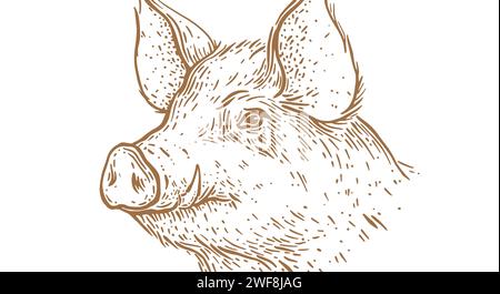 Schweinefleisch, Schweinekopf. Vintage-Retro-Druck, schwarz-weiße Pig-Zeichnung mit Sketch-Tinte, Stilzeichnung, Gravur Old School. Sketch-Kunstwerk Silhouette Kopf Schwein, weißer Hintergrund. Seitenansichtsprofil. Vektorabbildung Stock Vektor