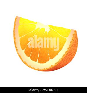 Halb In Scheiben Geschnittene Orangefarbene Vektorillustration Stock Vektor