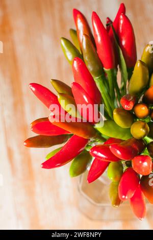 Ein Haufen kleiner Chilischoten Stockfoto