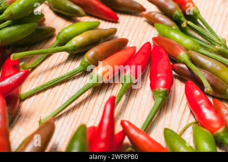 Ein Haufen kleiner Chilischoten Stockfoto