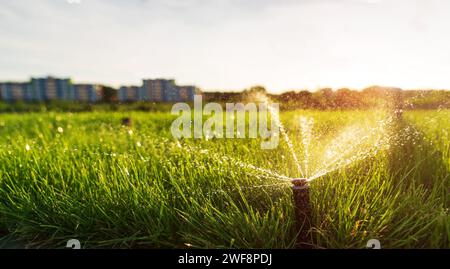 Ein Sprinkler sprengt Wasser auf den Rasen bei Sonnenuntergang vor dem Hintergrund der Stadt. Automatische Rasenbewässerung Stockfoto