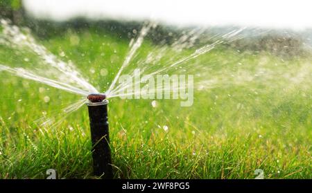 Nahaufnahme eines Rasenregners. Der Prozess des Sprühens von Wasser auf den Rasen. Sprühnebel vom Sprinkler Automatisches Bewässerungssystem. Rasenpflege und Garten Stockfoto
