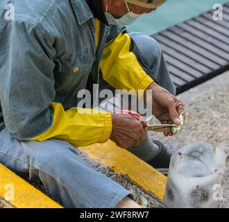 26. Januar 2024, Hongkong, SVR Hongkong, China: Ein einheimischer Fischer in Victoria Harbour Central Harbourfront, Hongkong, landet einen kleinen Fisch zum Abendessen. (Kreditbild: © Jayne Russell/ZUMA Press Wire) NUR REDAKTIONELLE VERWENDUNG! Nicht für kommerzielle ZWECKE! Stockfoto