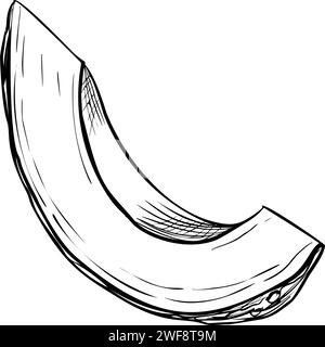 Illustration des Avocado-Schichtvektors. Handgezeichnete Skizze auf isoliertem Hintergrund. Zeichnung eines mit schwarzer Tinte gemalten Fruchtstücks. Botanisches Ätzen von Gemüse. Gravur einer Pflanze. Stock Vektor
