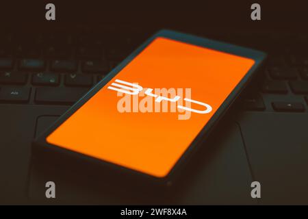 Brasilien. Januar 2024. In dieser Abbildung wird das BYD Auto-Logo auf einem Smartphone-Bildschirm angezeigt. Quelle: SOPA Images Limited/Alamy Live News Stockfoto