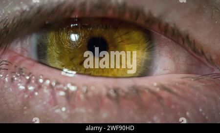 Makrodetails eines müden männlichen Haselnussauges blinkend und Blick auf die Kamera, extreme Nahaufnahme. Aufwachen und Spiegel einer Seele und Gedanken Stockfoto