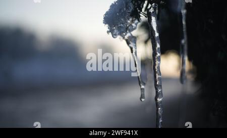 Nahaufnahme von Eiszapfen, die sich an einem kalten Wintermorgen bilden Stockfoto