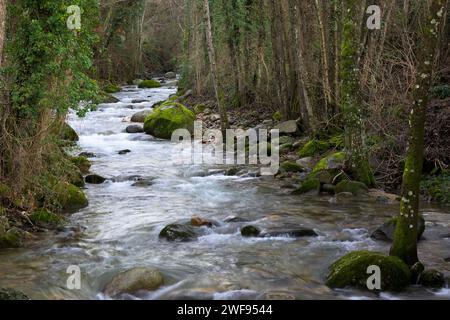 Ambroz Gebirgsfluss fließt schnell durch eine Galerie von Bäumen horizontal Stockfoto