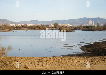 Natürliche Lagunen des Naturparks Guadalhorce Mündung Naturschutzgebiet. Andalusien, Malaga, Spanien. Stockfoto