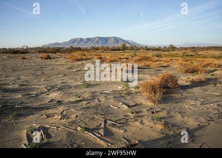 Strand, geschützte Vogelzuchtgebiete, Naturpark Guadalhorce Mündung Naturschutzgebiet. Andalusien, Malaga, Spanien. Stockfoto