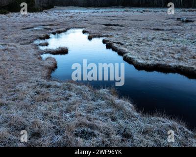 Ruhiger Wasserpool umgeben von Grasland mit Raureif. Dunkle und weiße Schattierungen auf der eisigen Oberfläche Stockfoto