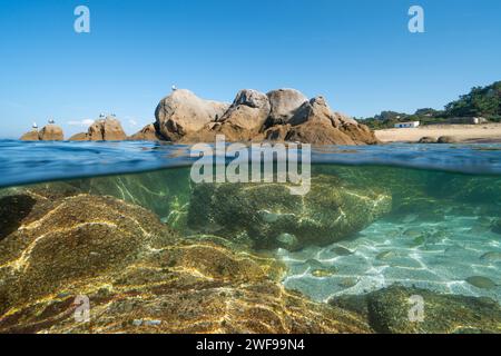 Atlantik Meereslandschaft, Felsen mit Möwen an der Küste und Fische unter Wasser, natürliche Landschaft, geteilter Blick über und unter der Wasseroberfläche, Spanien, Stockfoto