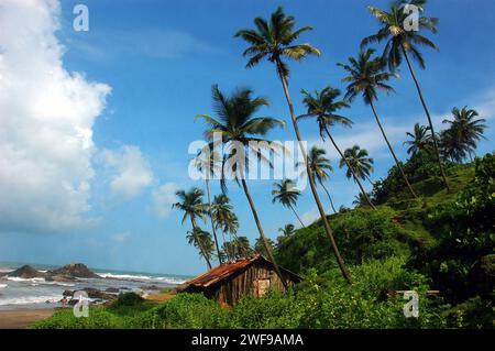 Baga Beach. Die Strände von Goa sind das perfekte Ziel für einen entspannten Urlaub und Urlaub in Indien. Wassersport und die exotischen Meeresfrüchte von Goa genießen, die Strände haben alles. Goa ist der perfekte Ort für Strandaktivitäten mit einer unwiderstehlichen Kombination aus silbernem Sand, Palmenrillen und verspielten Meereswellen, die die Menschen mit ihrem Gezeitenrhythmus verführen. Colva, Goa, Indien. Stockfoto