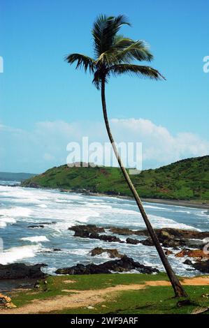 Calangute Beach. Die Strände von Goa sind das perfekte Ziel für einen entspannten Urlaub und Urlaub in Indien. Wassersport und die exotischen Meeresfrüchte von Goa genießen, die Strände haben alles. Goa ist der perfekte Ort für Strandaktivitäten mit einer unwiderstehlichen Kombination aus silbernem Sand, Palmenrillen und verspielten Meereswellen, die die Menschen mit ihrem Gezeitenrhythmus verführen. Goa, Indien. Stockfoto