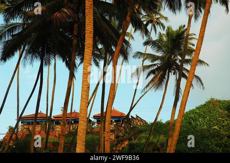 Baga Beach. Die Strände von Goa sind das perfekte Ziel für einen entspannten Urlaub und Urlaub in Indien. Wassersport und die exotischen Meeresfrüchte von Goa genießen, die Strände haben alles. Goa ist der perfekte Ort für Strandaktivitäten mit einer unwiderstehlichen Kombination aus silbernem Sand, Palmenrillen und verspielten Meereswellen, die die Menschen mit ihrem Gezeitenrhythmus verführen. Colva, Goa, Indien. Stockfoto