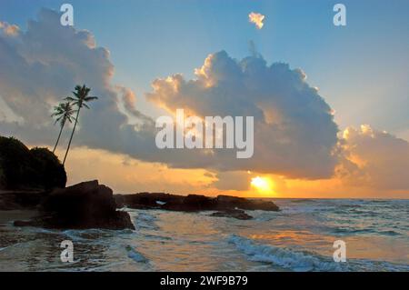 Baga Beach. Die Strände von Goa sind das perfekte Ziel für einen entspannten Urlaub und Urlaub in Indien. Wassersport und die exotischen Meeresfrüchte von Goa genießen, die Strände haben alles. Goa ist der perfekte Ort für Strandaktivitäten mit einer unwiderstehlichen Kombination aus silbernem Sand, Palmenrillen und verspielten Meereswellen, die die Menschen mit ihrem Gezeitenrhythmus verführen. Colva, Goa, Indien. Stockfoto
