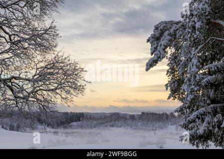 Der Winter ist umgeben von lebendigen Farben in der Kälte und schafft eine malerische Leinwand aus Ruhe und gefrorener Schönheit Stockfoto