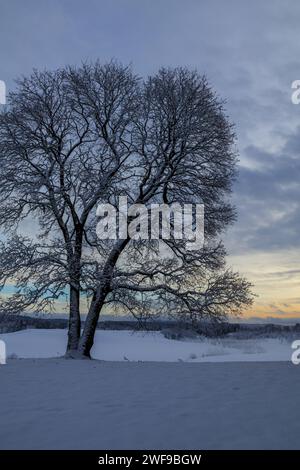 Der Winter ist umgeben von lebendigen Farben in der Kälte und schafft eine malerische Leinwand aus Ruhe und gefrorener Schönheit Stockfoto