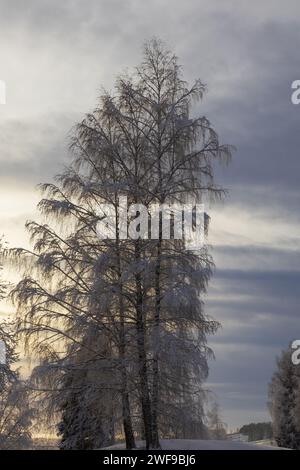 Der Winter ist umgeben von lebendigen Farben in der Kälte und schafft eine malerische Leinwand aus Ruhe und gefrorener Schönheit Stockfoto