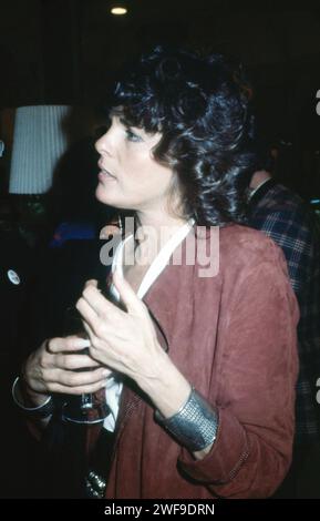 Ali MacGraw, 1980er Jahre Foto: Oscar Abolafia/Everett Collection (alimacgraw003) Stockfoto