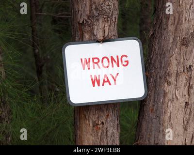 Falsches Schild auf einer Kiefer auf einem Mountainbike-Pfad im Oleta River Park. Stockfoto