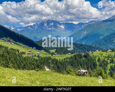 Sal Plateau in Camlihemsin, dieses Plateau befindet sich im Camlihemsin Bezirk der Provinz Rize. Kackar Mountains. Rize, Türkei. Stockfoto