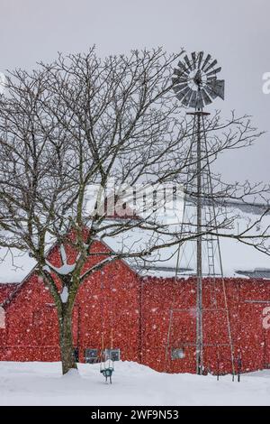 Amish Farm mit Windmühle und Scheune während des Winterschneesturms in Mecosta County, Michigan, USA [keine Freigabe des Grundstücks; nur redaktionelle Lizenzierung] Stockfoto