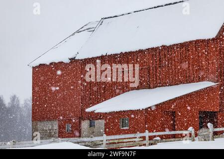 Amish Farm mit traditioneller roter Scheune während des Winterschneesturms in Mecosta County, Michigan, USA [keine Freigabe des Grundstücks; nur redaktionelle Lizenzierung] Stockfoto