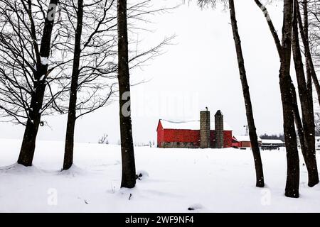 Amish Farm mit roter Scheune und Silos während des Winterschneesturms in Mecosta County, Michigan, USA [keine Freigabe des Grundstücks; nur redaktionelle Lizenzierung] Stockfoto