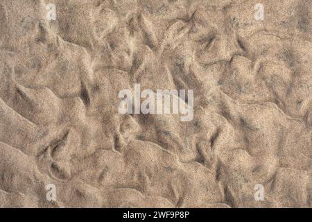 Sandiger Boden bei Ebbe in Nahaufnahme, abstraktes Wellenmarkenmuster auf Fuerteventura Stockfoto